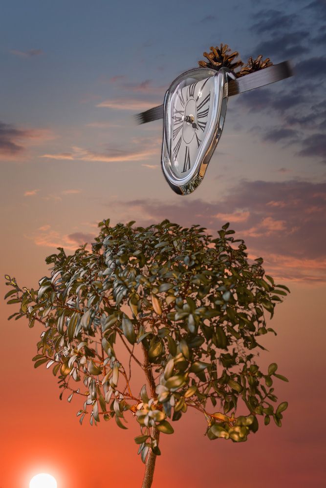 Photograph by Алексей Козлов