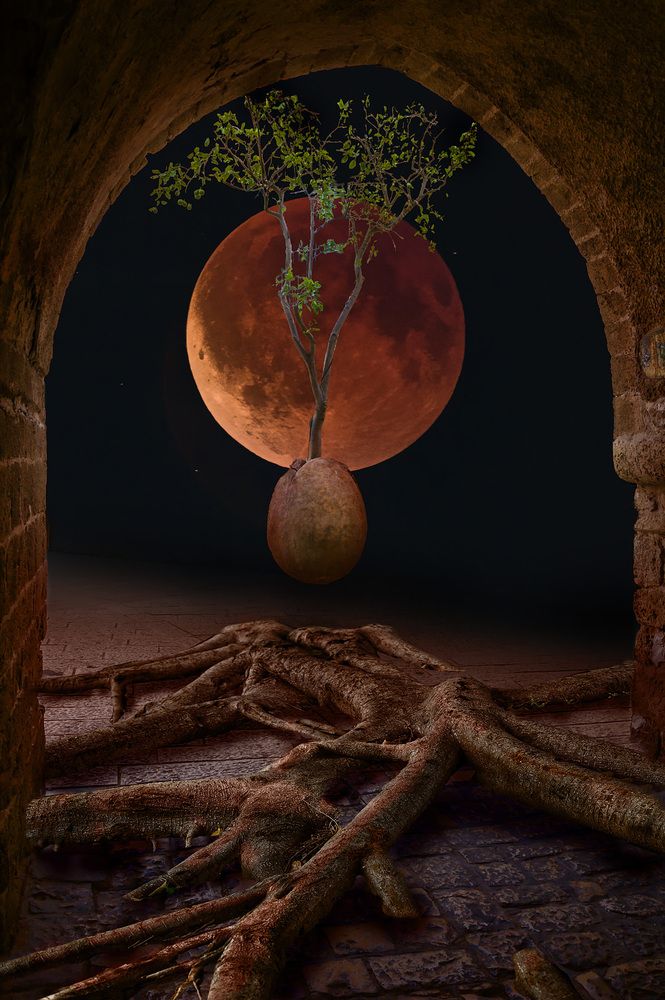 Photograph by Алексей Козлов