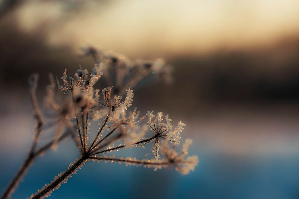 Photograph by Альфия Галеева