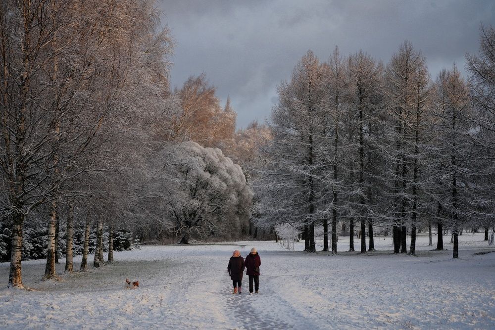 Фотография автора Яна Егорова