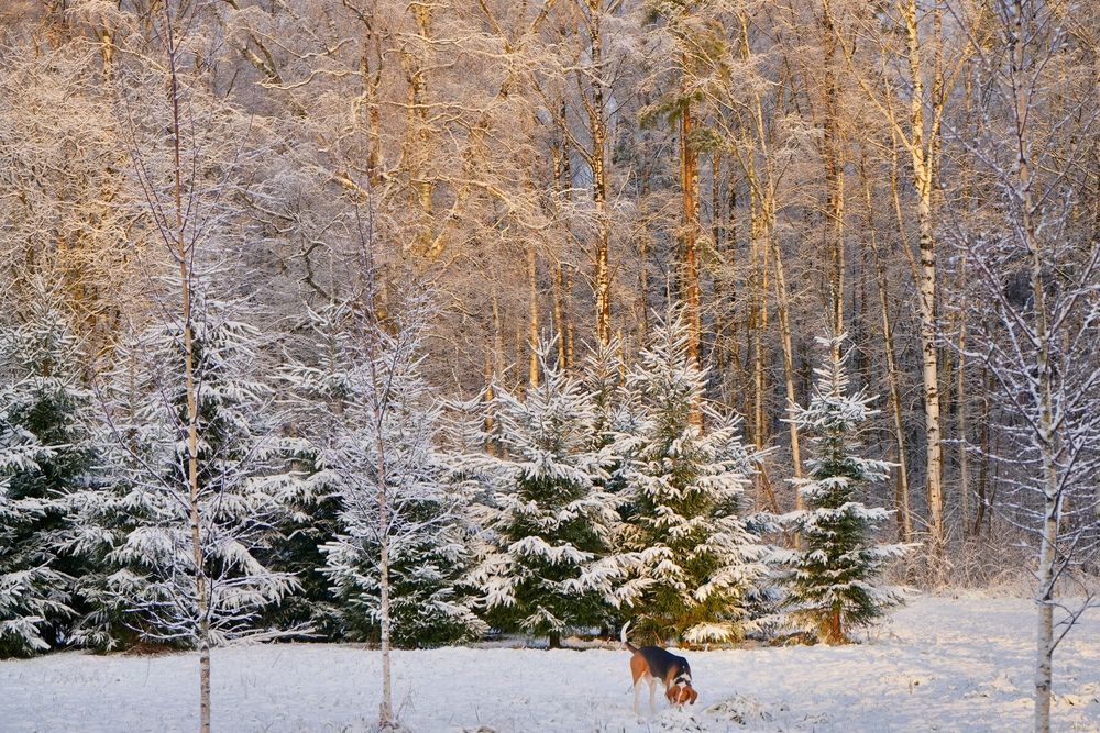 Фотография автора Яна Егорова