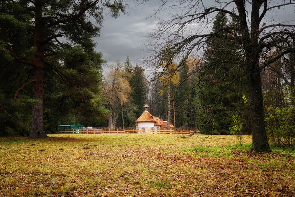 Photograph by Елена Суворова