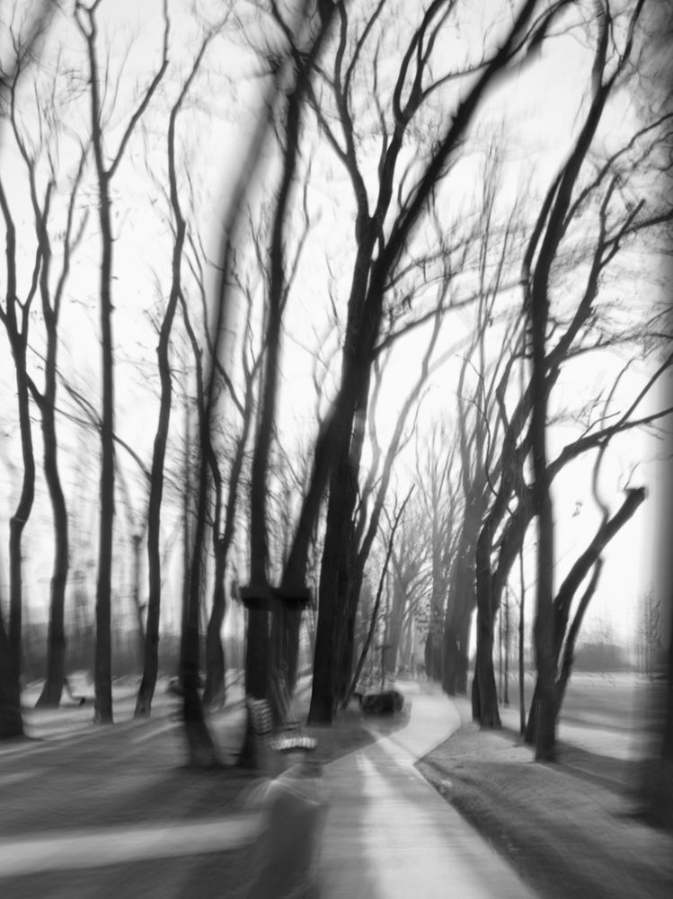 Фотография автора Татьяна Семёнова