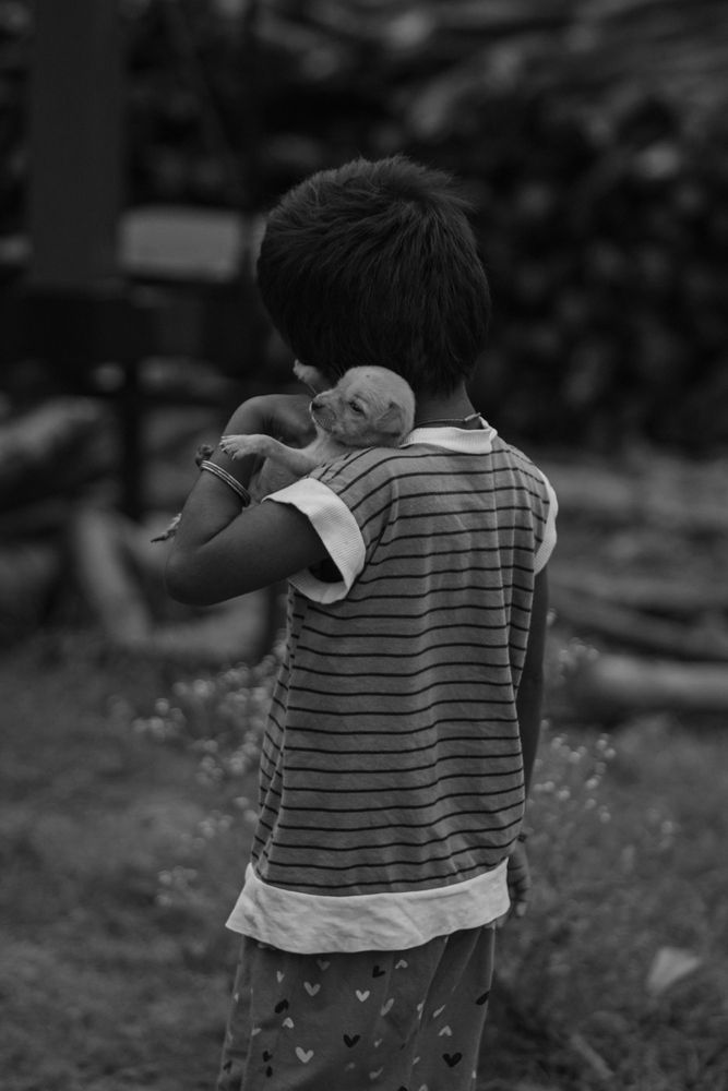 Photograph by Pranav CS