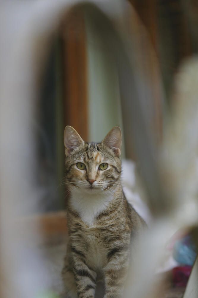 Photograph by Дмитрий Задорожный