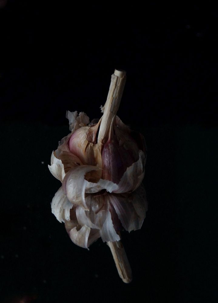 Photograph by Ирина Гурина