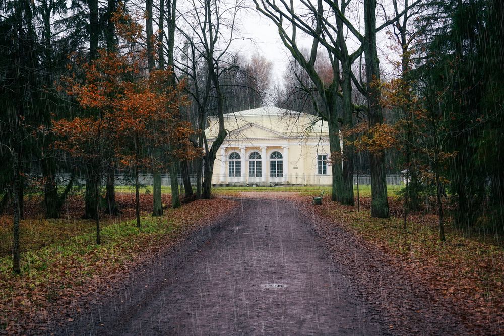 Photograph by Елена Суворова