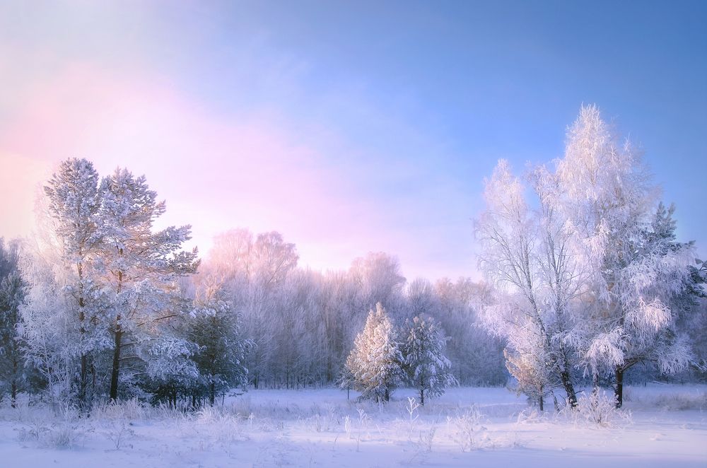 Photograph by Юлия Лушникова