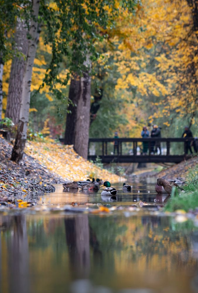 Photograph by Дмитрий Тимин