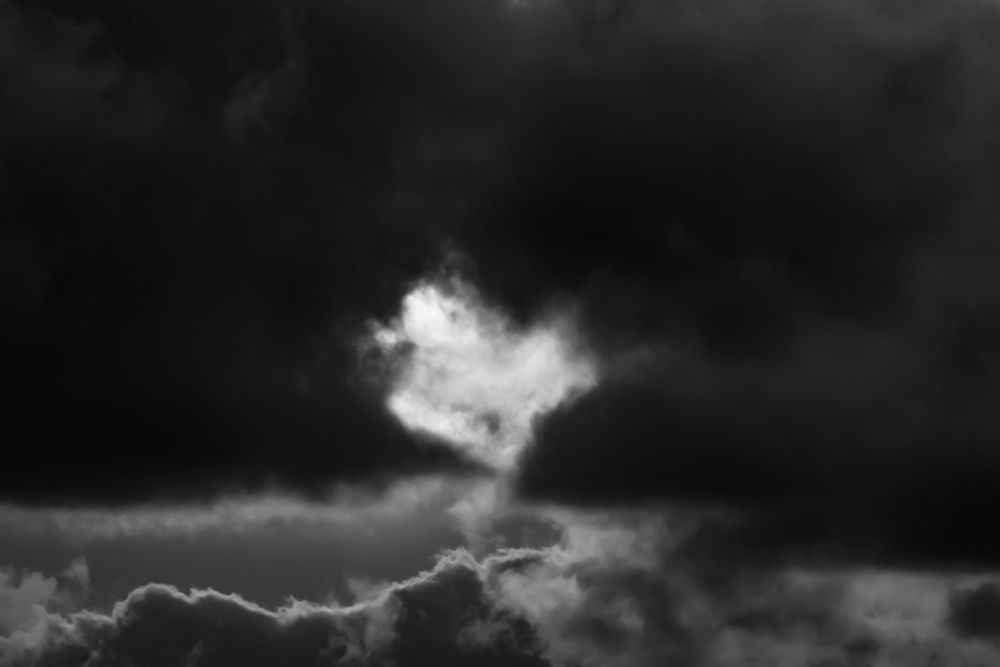 Photograph by Teresa Molinaro