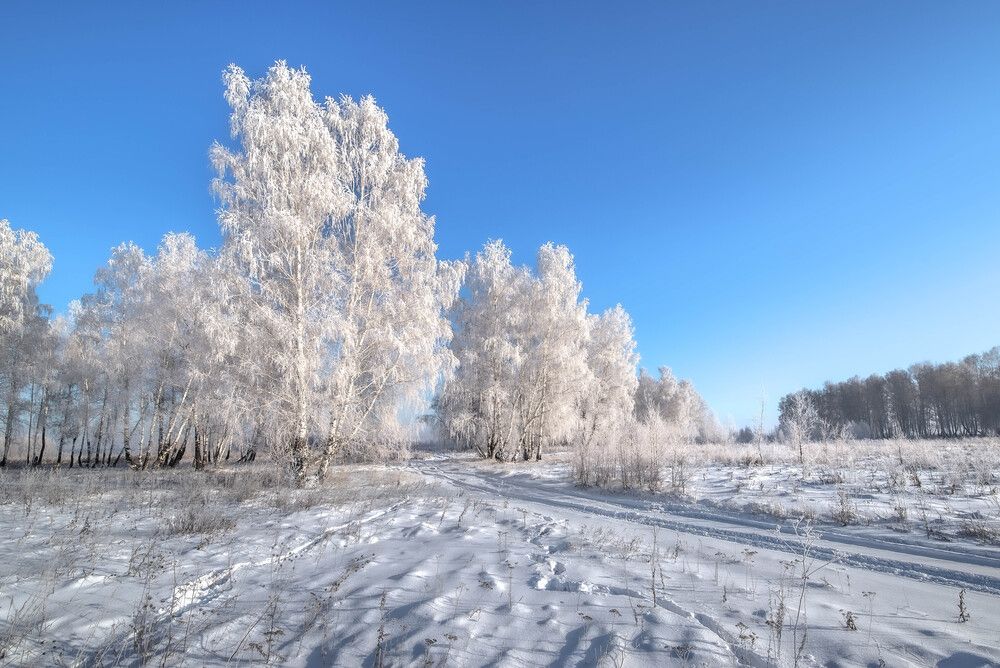 Photograph by Валерий Туманов