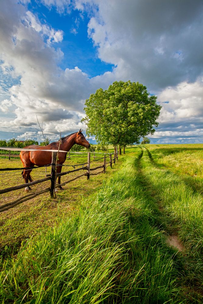 Photograph by Samir Kurtagić