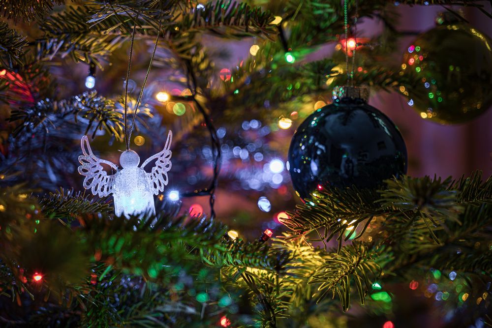 Photograph by Valdis Serzhans