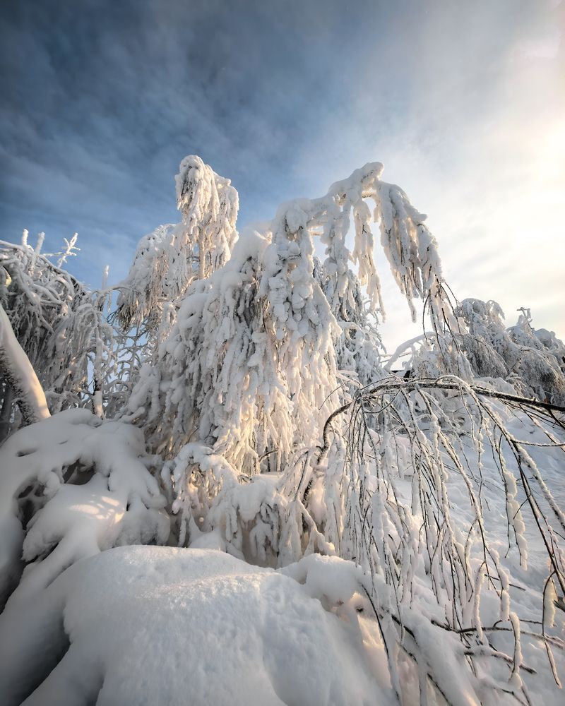Photograph by Роман Кузнецов