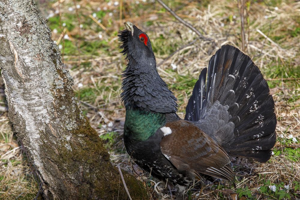 Photograph by Дмитрий Юдин