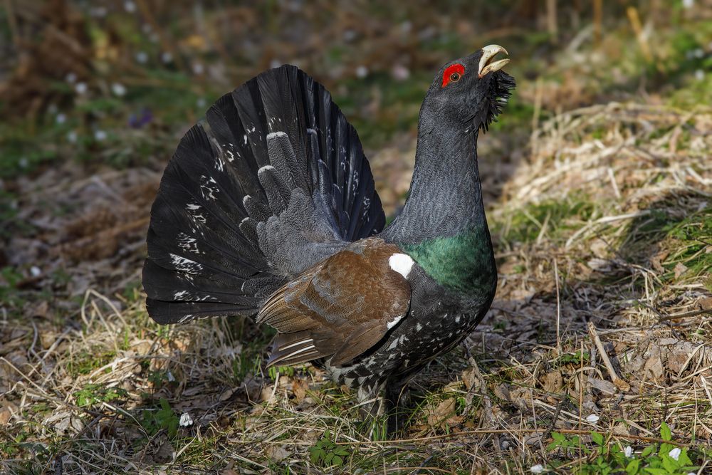 Photograph by Дмитрий Юдин