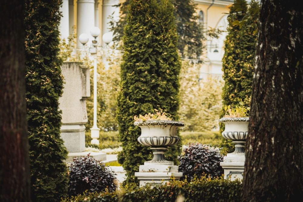 Photograph by Хельга Лаурисовна