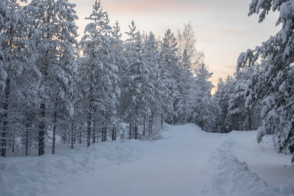 Photograph by Анна Лукина