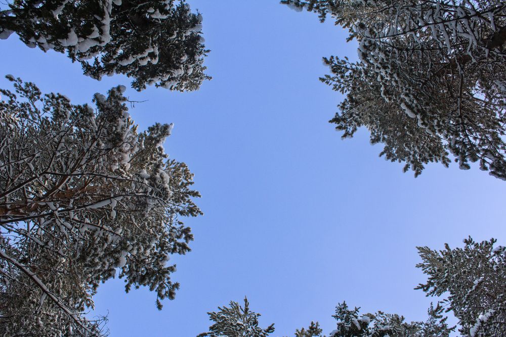 Photograph by Анна Лукина