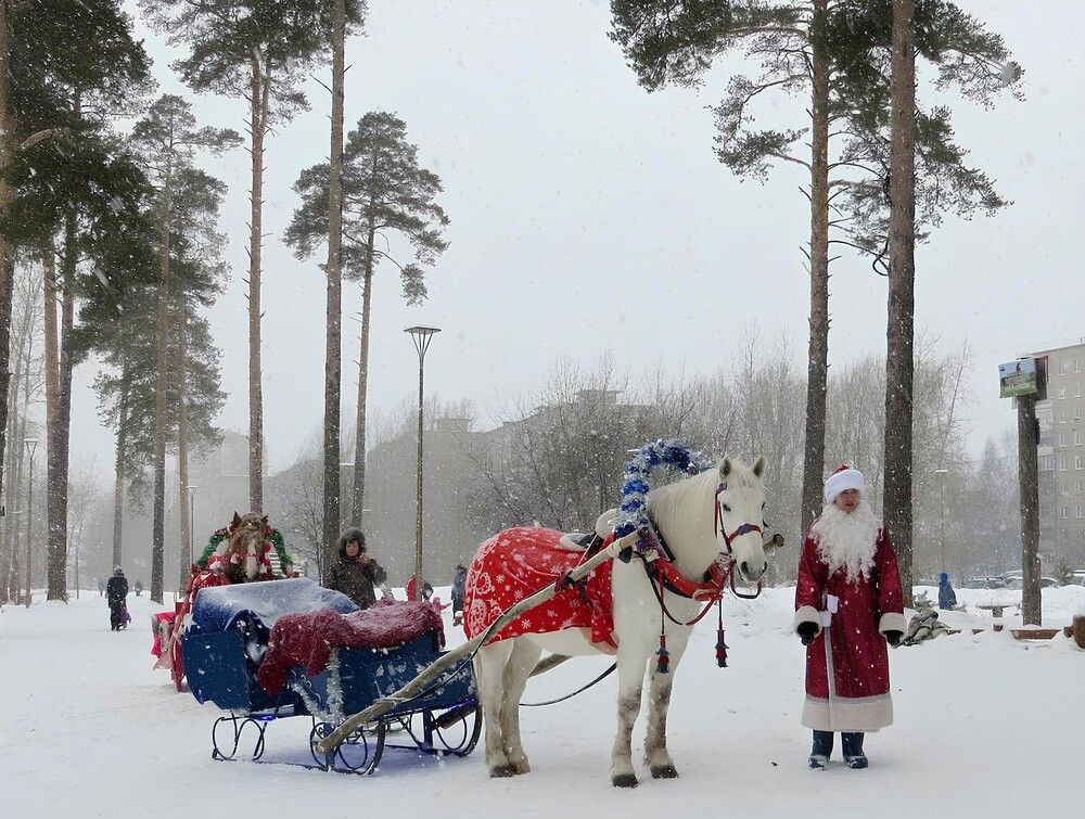 Новогодние покатушки