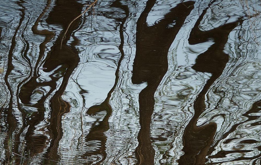 Photograph by Светлана Логинова