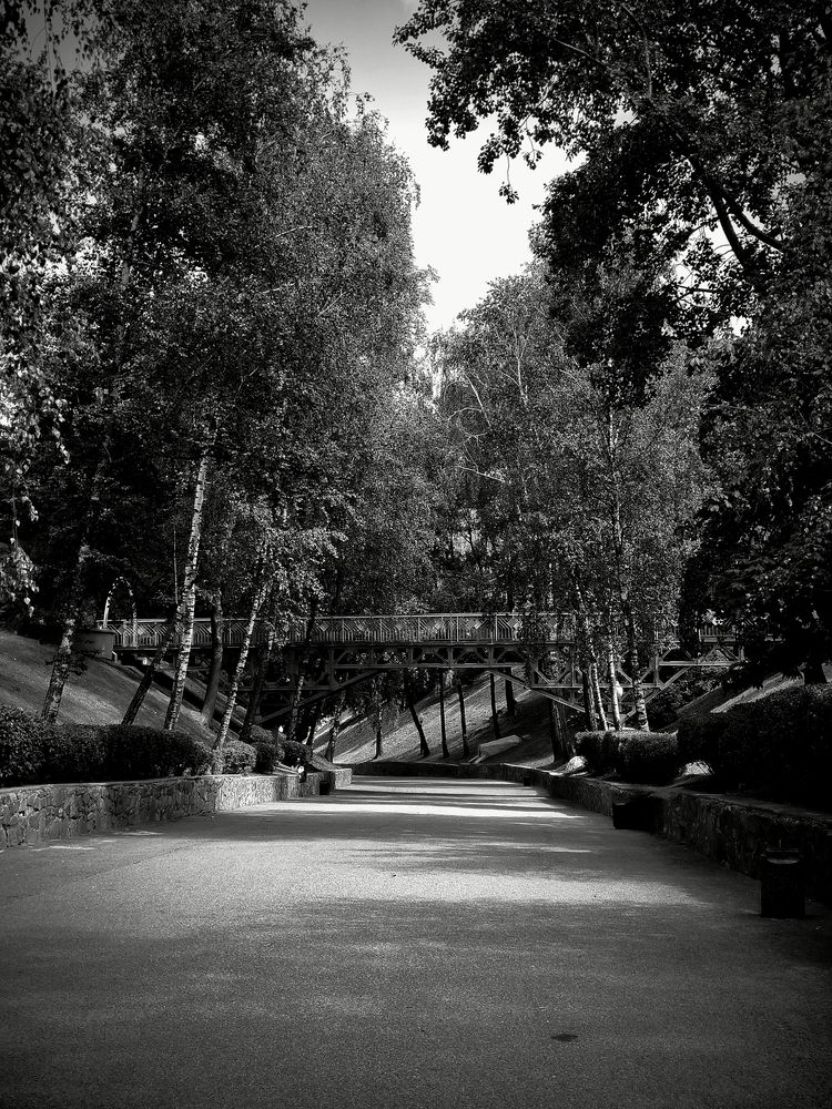 Photograph by Александр Житник