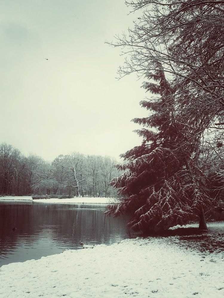 Photograph by Liliia Androsova