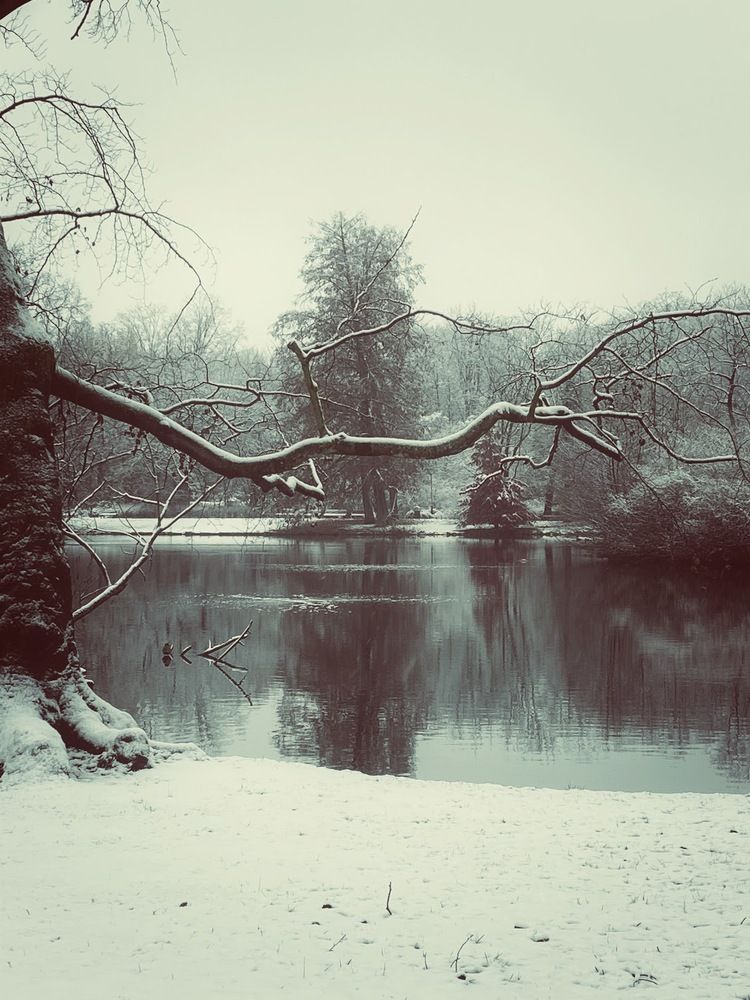 Photograph by Liliia Androsova