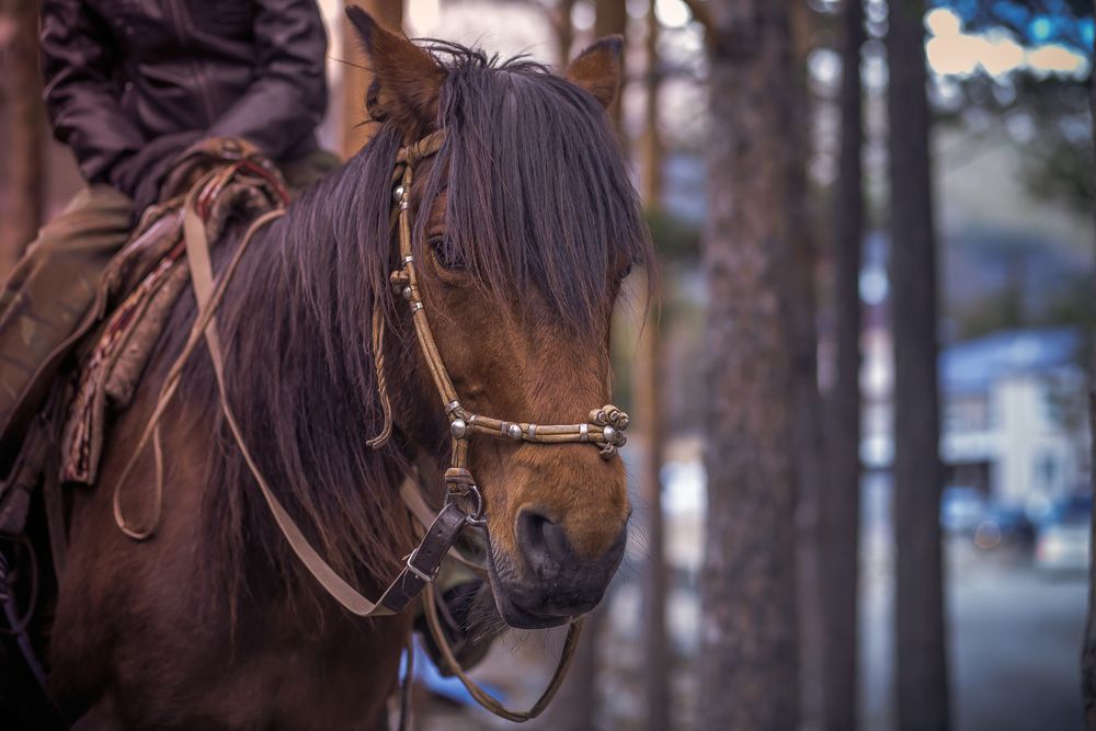 Photograph by Оркина Ксения