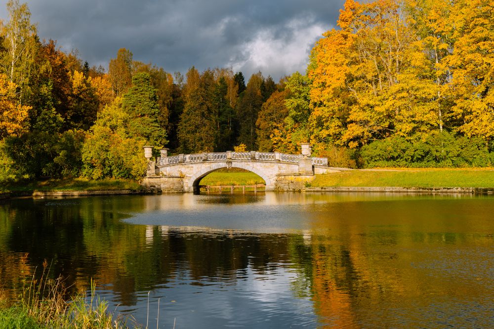 Photograph by Ксения Плоткина