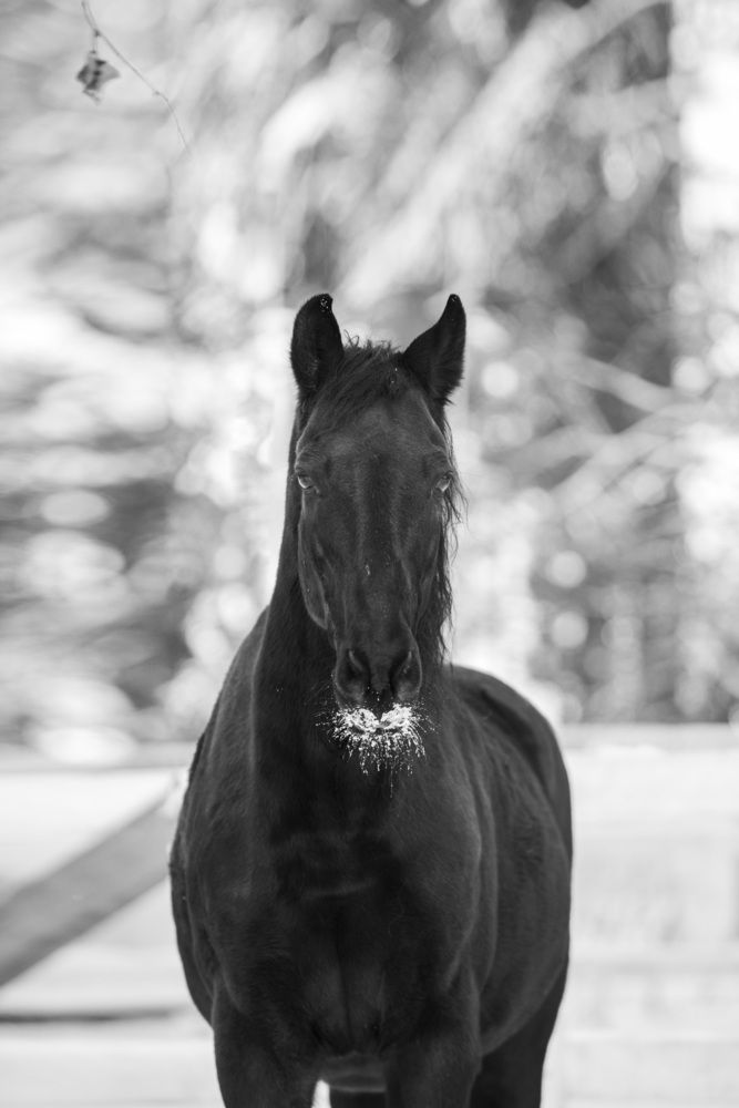 Photograph by EKATERINA ANDREEVA