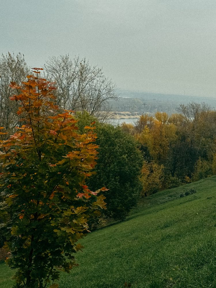 Photograph by Наталья Чехова