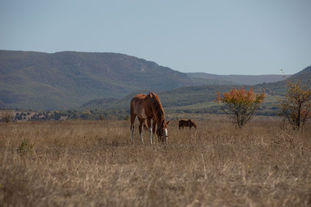 Photograph by EKATERINA ANDREEVA