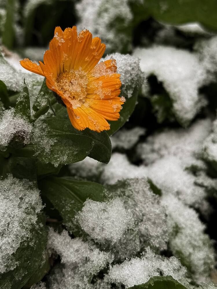 Photograph by Наталья Чехова