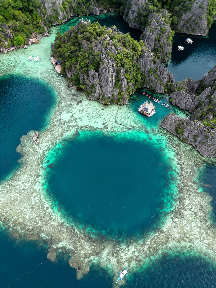 Photograph by Alina Orlova