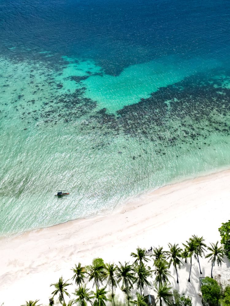 Photograph by Alina Orlova