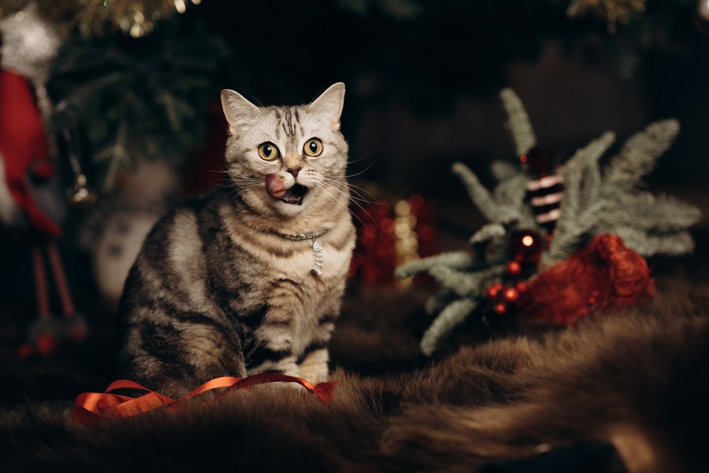Photograph by Миля Сухарева