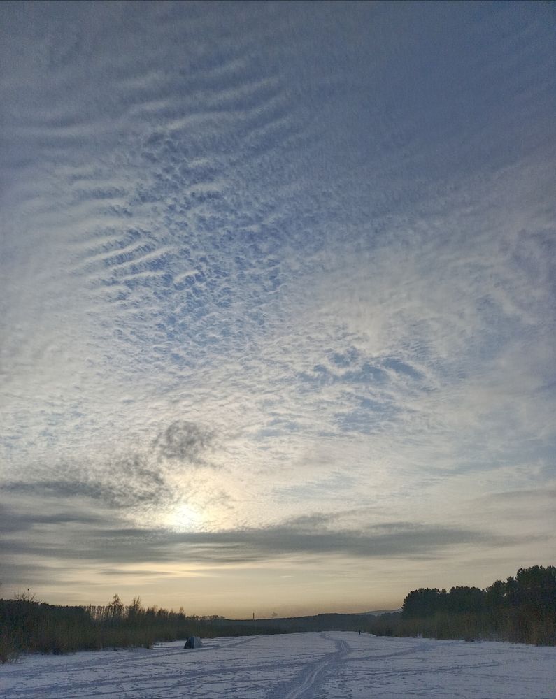 Фотография автора Ольга Петрова