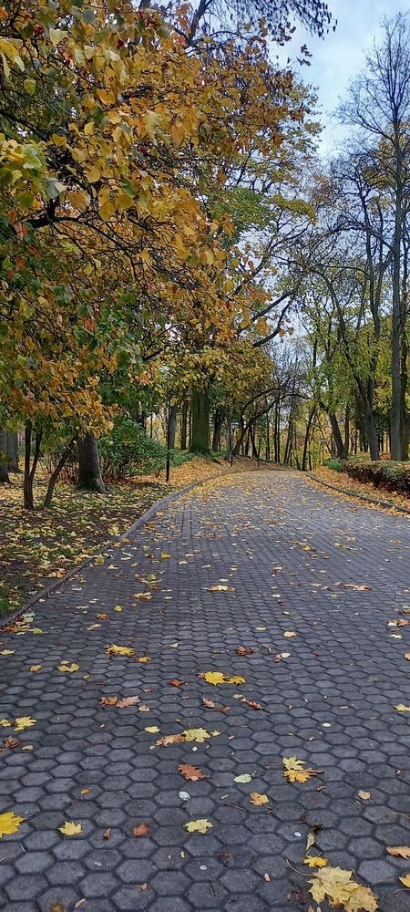 Photograph by Татьяна Зиновенко