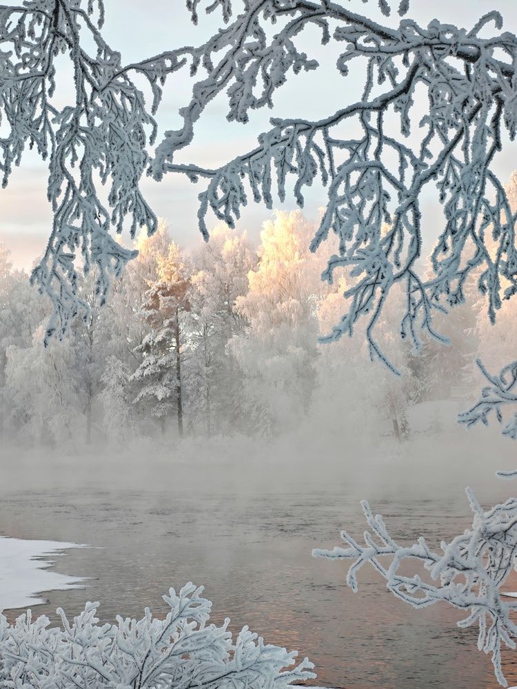 Фотография автора OLga Piirainen