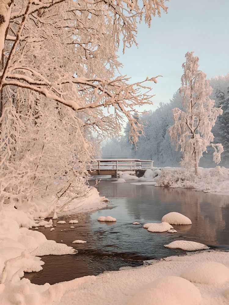 Фотография автора OLga Piirainen