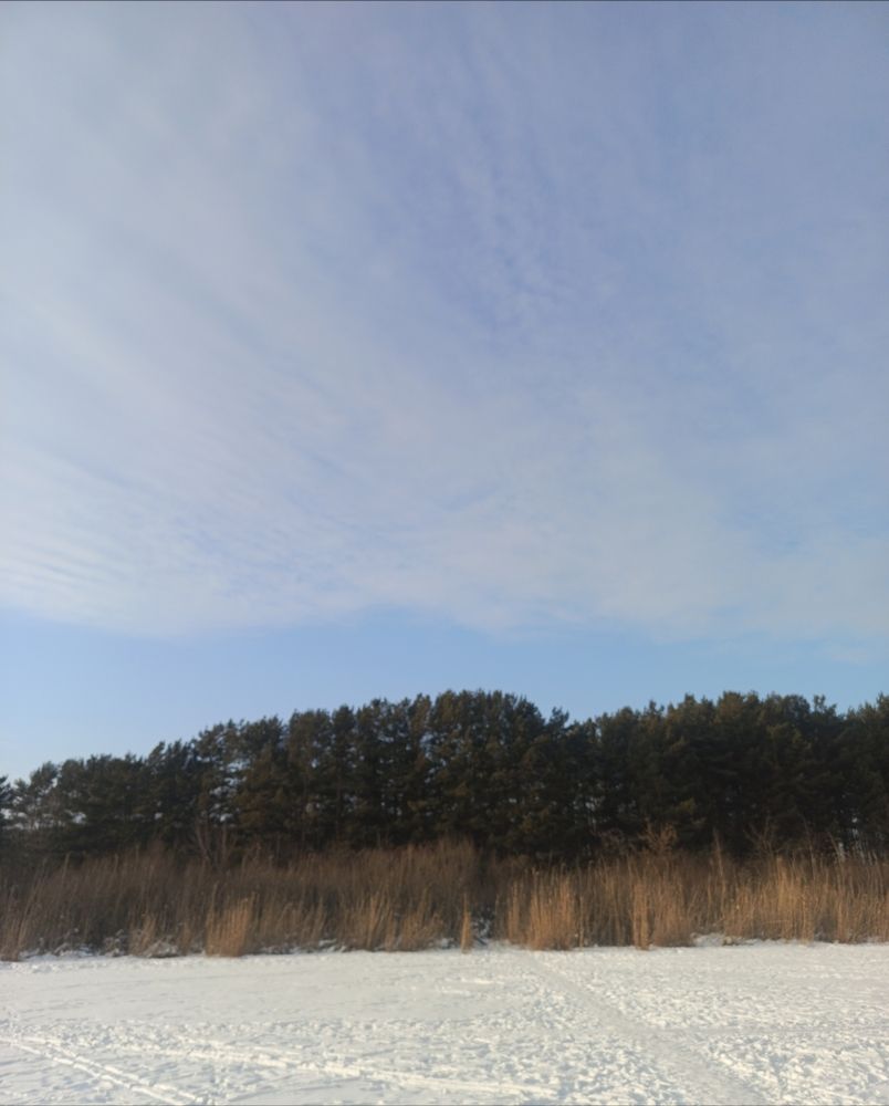 Фотография автора Ольга Петрова