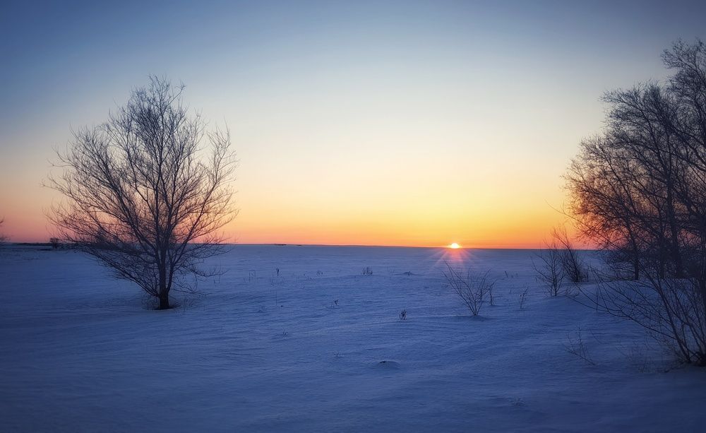 Photograph by Сергей Зайцев