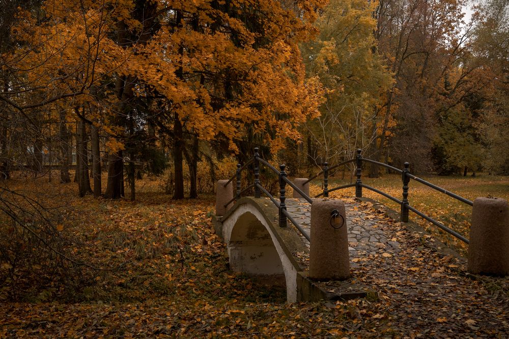 Photograph by Кончакова Дарья