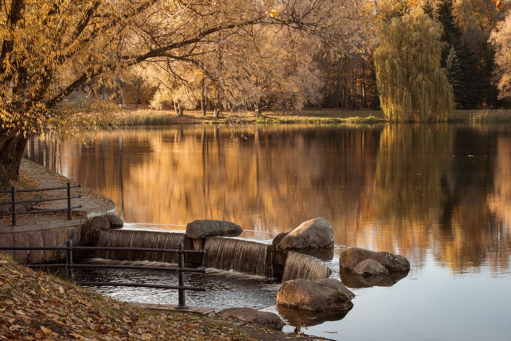 Photograph by Дарья Кончакова