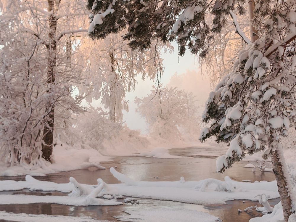 Фотография автора OLga Piirainen