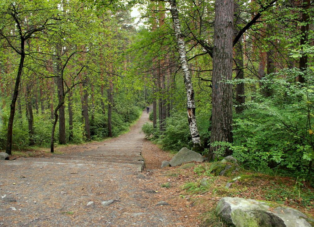 Фотография автора Nelya  Lysenko