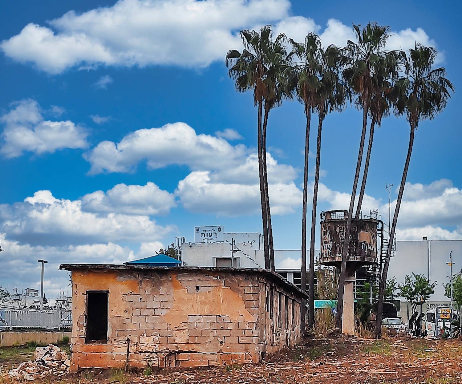 Три пальмы...