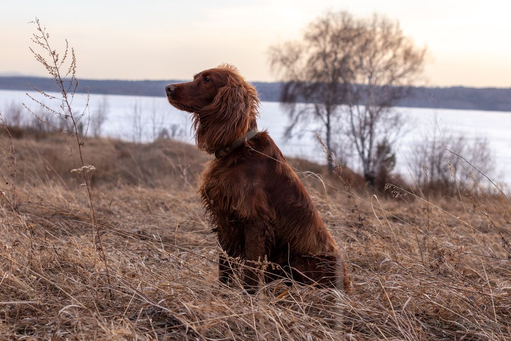 Photograph by Оля Пильвялене