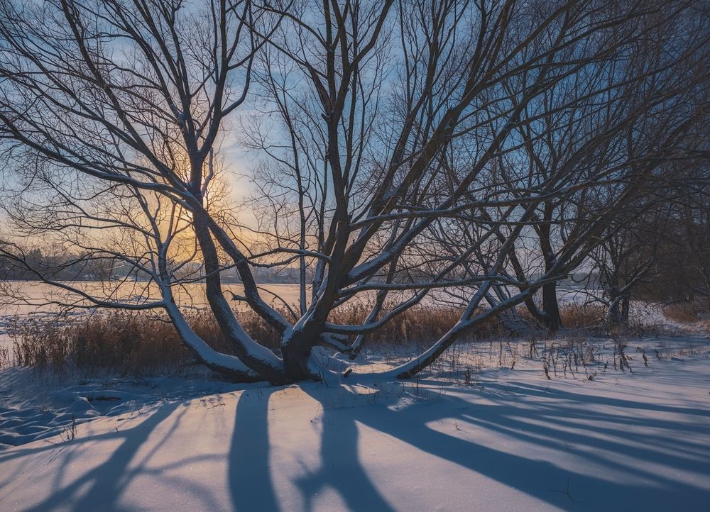 Photograph by Кирилл Сидоров